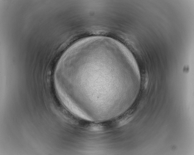 X0000089940263200707201910