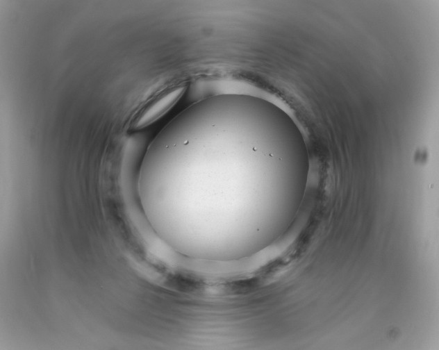 X0000089940264200707201910