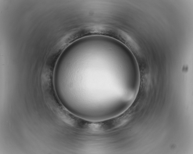 X0000089940265200707201910