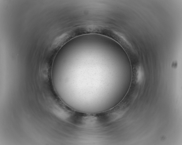 X0000089940266200707201910