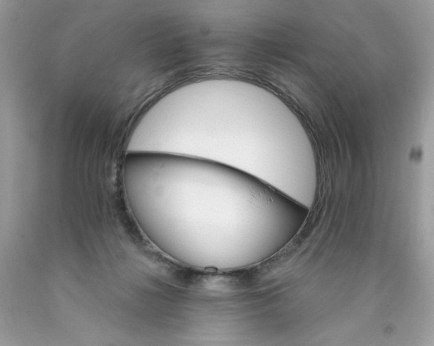 X0000089940268200707201910