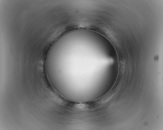 X0000089940269200707201910