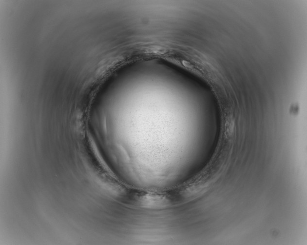 X0000089940270200707201910