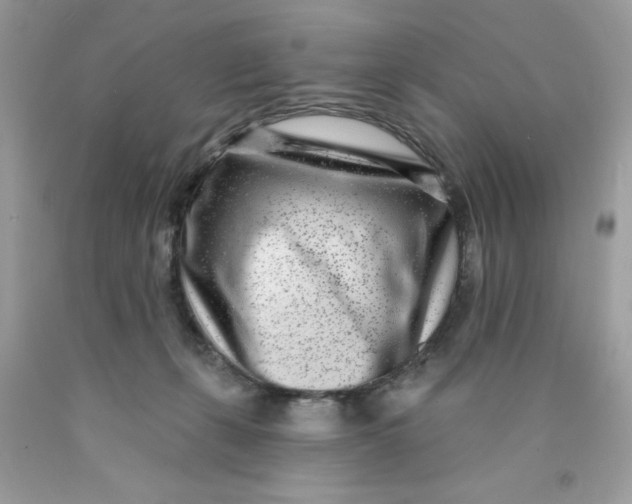 X0000089940271200707201910