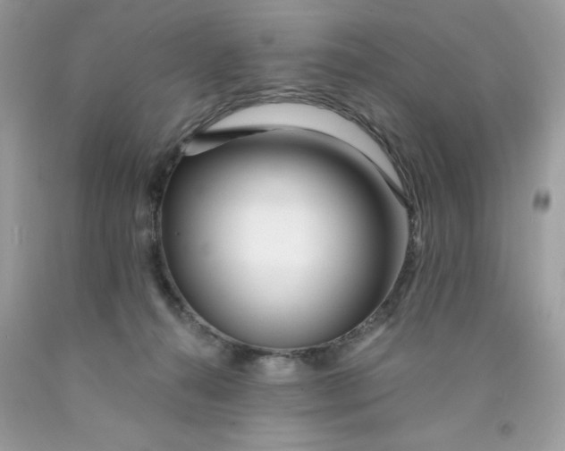 X0000089940272200707201910