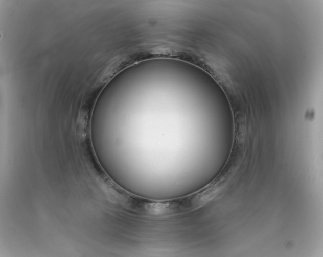 X0000089940273200707201910
