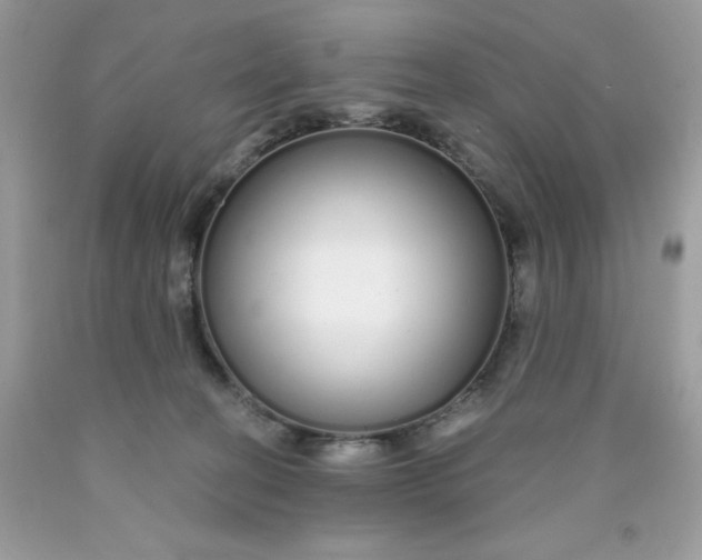 X0000089940274200707201910