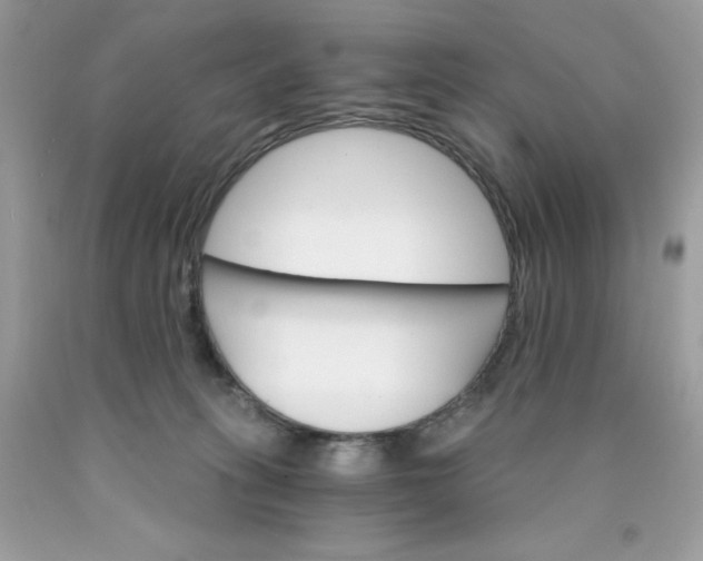 X0000089940275200707201910
