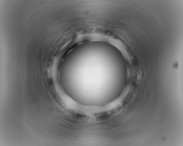 X0000089940276200707201910