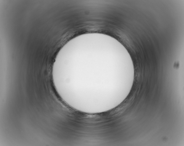 X0000089940277200707201910