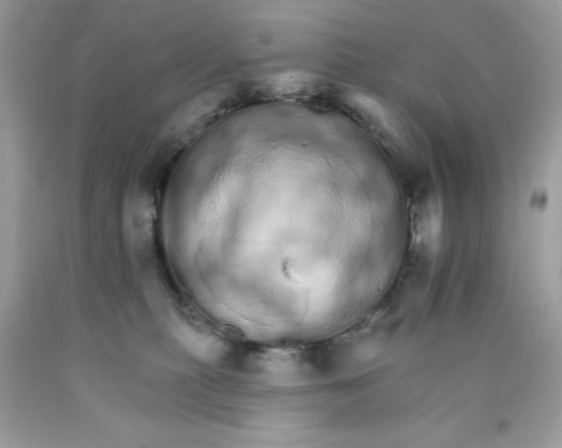 X0000089940279200707201910