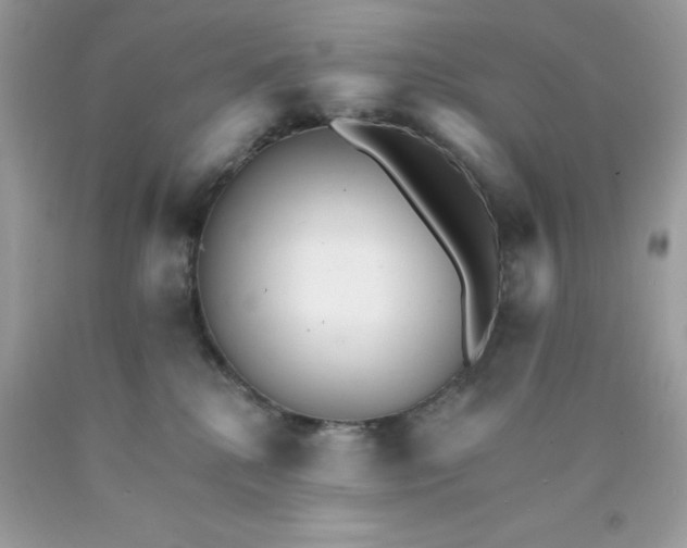 X0000089940280200707201910