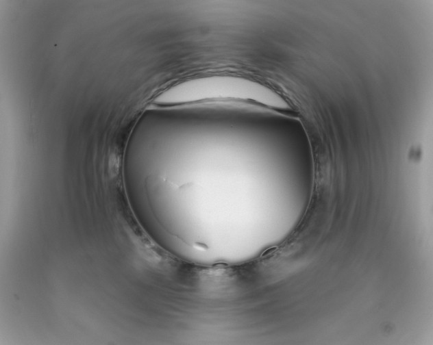 X0000089940281200707201910