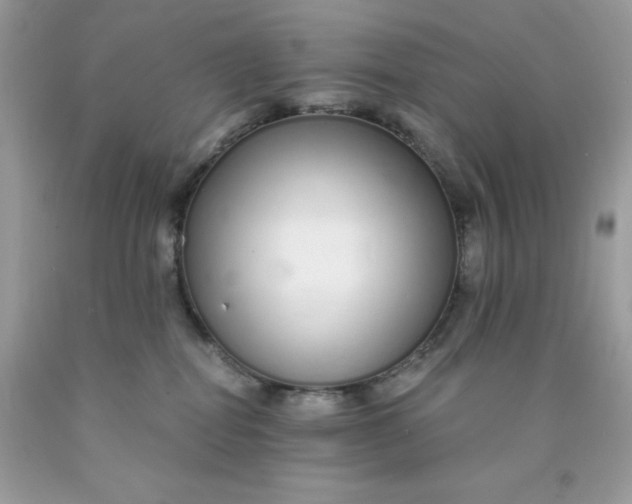 X0000089940282200707201910