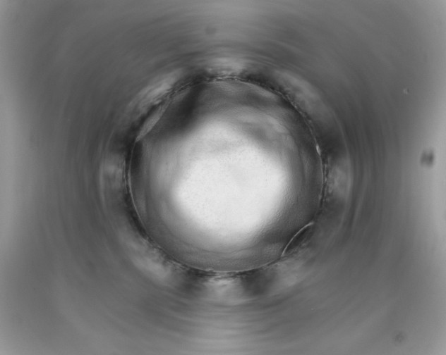 X0000089940283200707201910