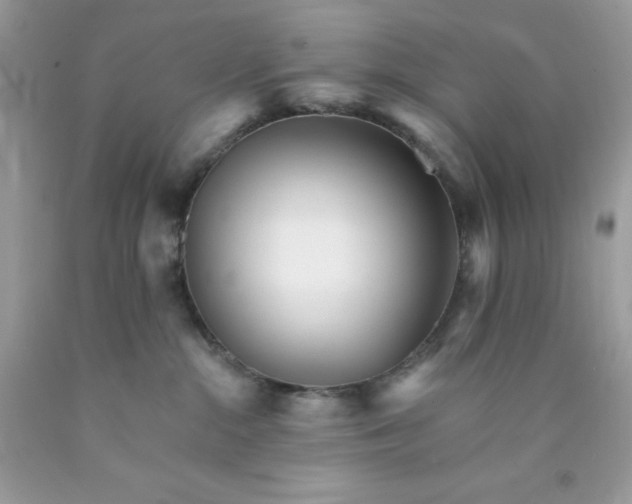 X0000089940284200707201910