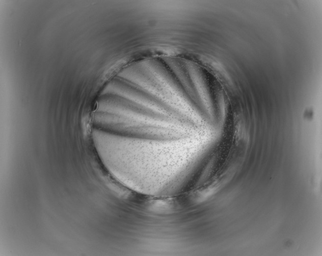 X0000089940285200707201910