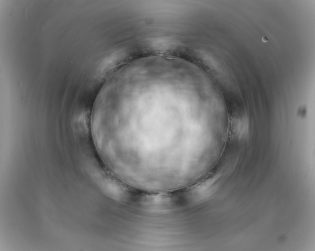 X0000089940286200707201910