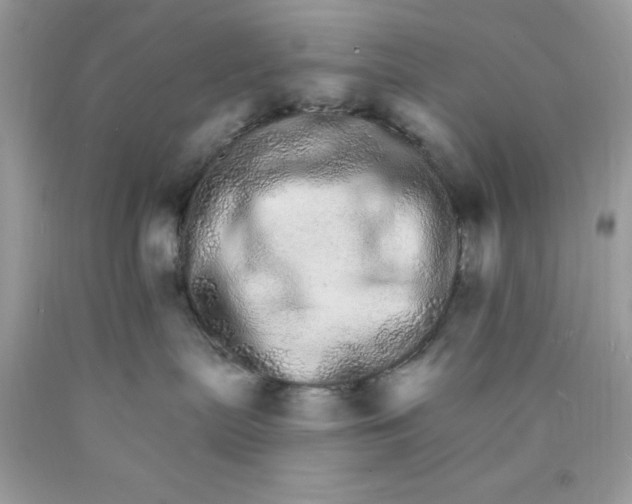 X0000089940287200707201910
