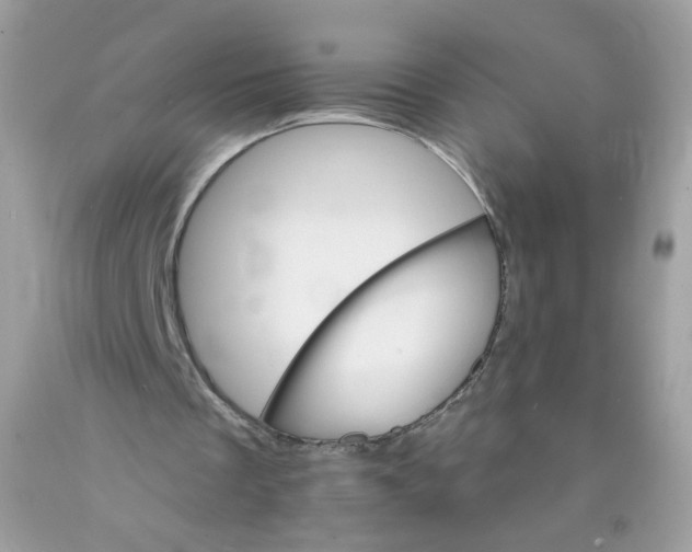 X0000089940289200707201909