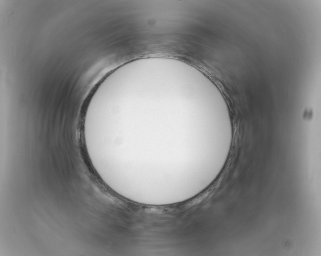 X0000089940290200707201909