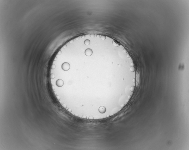 X0000089940291200707201909