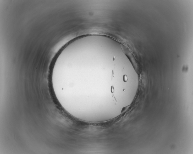 X0000089940292200707201909