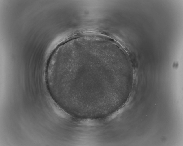 X0000089940293200707201909