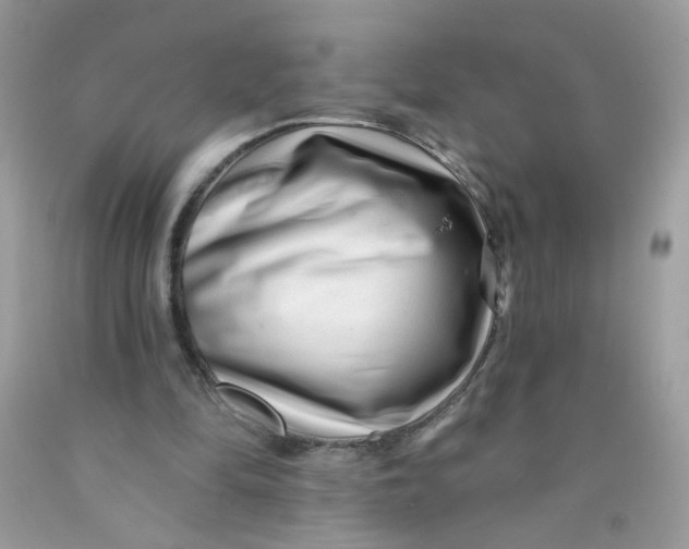 X0000089940294200707201909