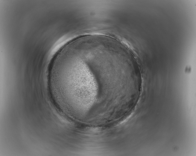 X0000089940295200707201909