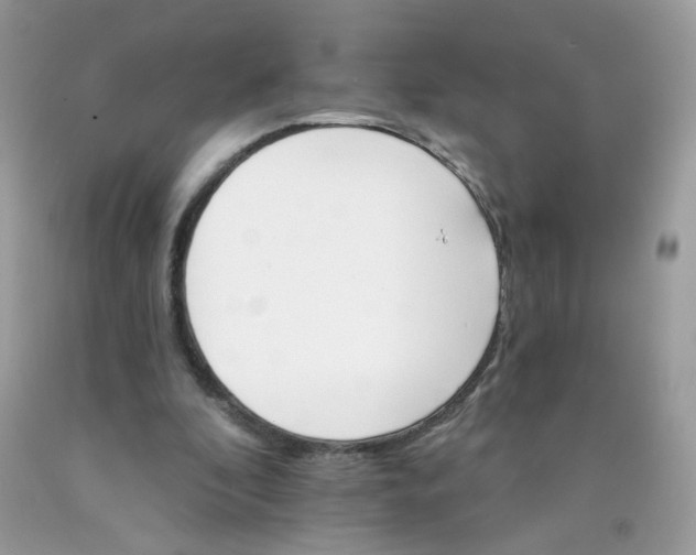 X0000089940296200707201909