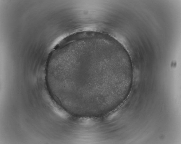 X0000089940297200707201909