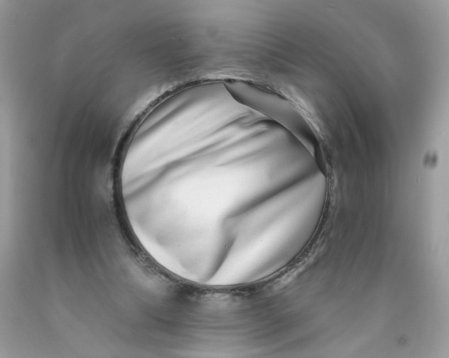 X0000089940298200707201909