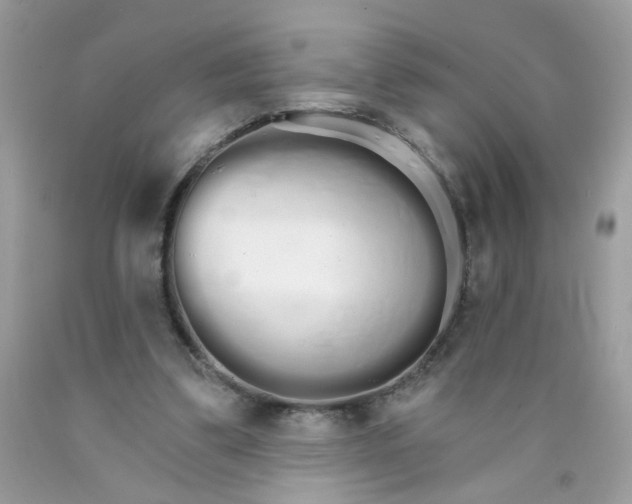 X0000089940299200707201909