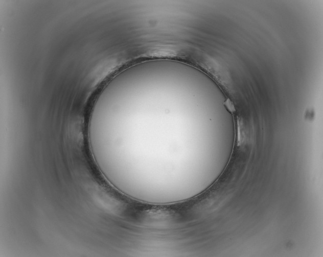 X0000089940300200707201909
