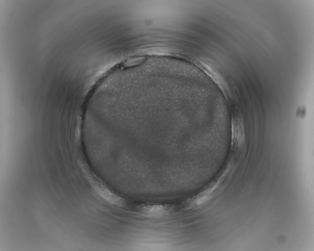 X0000089940301200707201909