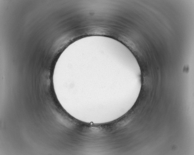 X0000089940302200707201909