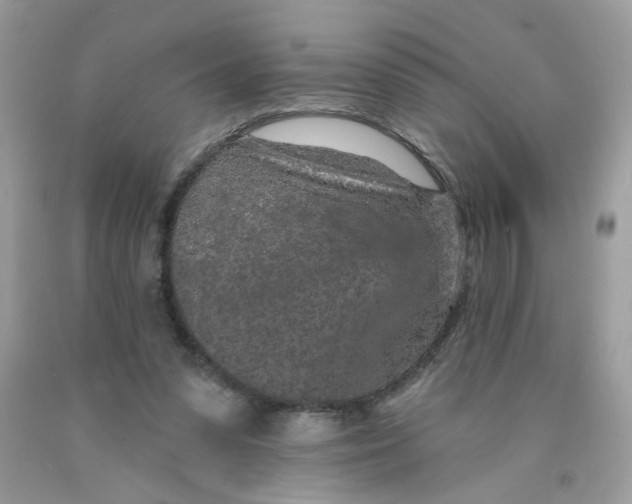 X0000089940303200707201909