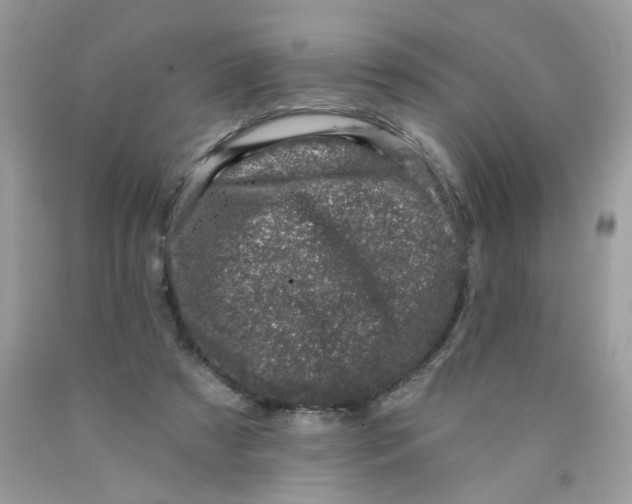 X0000089940305200707201909