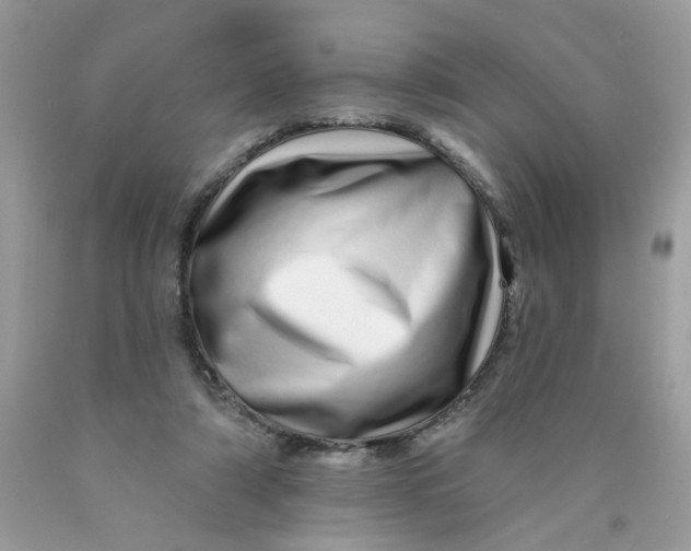 X0000089940306200707201909