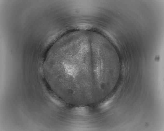 X0000089940307200707201909