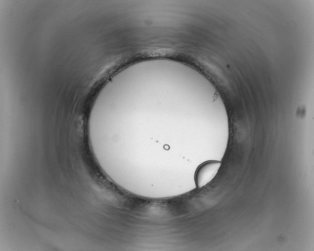 X0000089940308200707201909