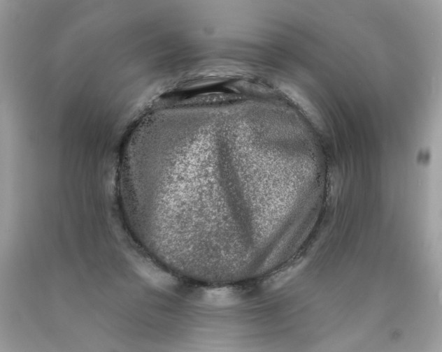 X0000089940309200707201909