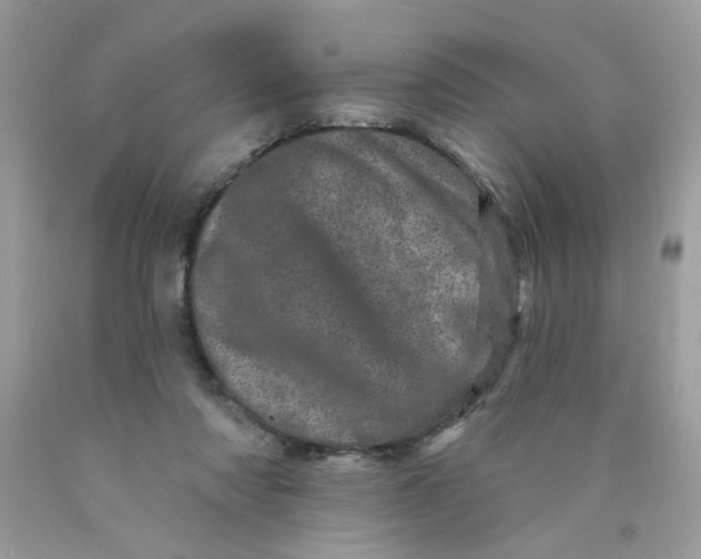 X0000089940310200707201909