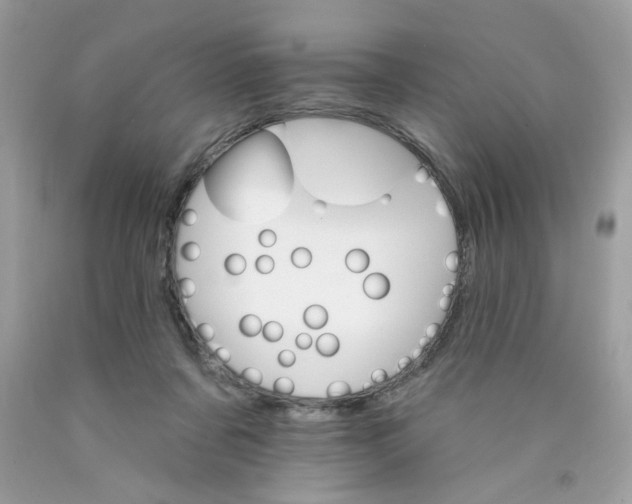 X0000089940311200707201909