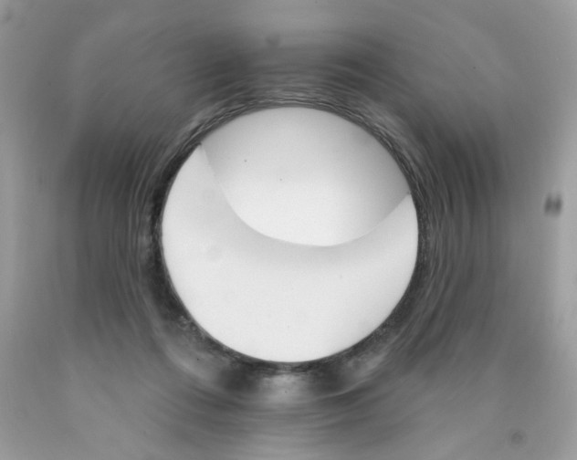 X0000089940312200707201909