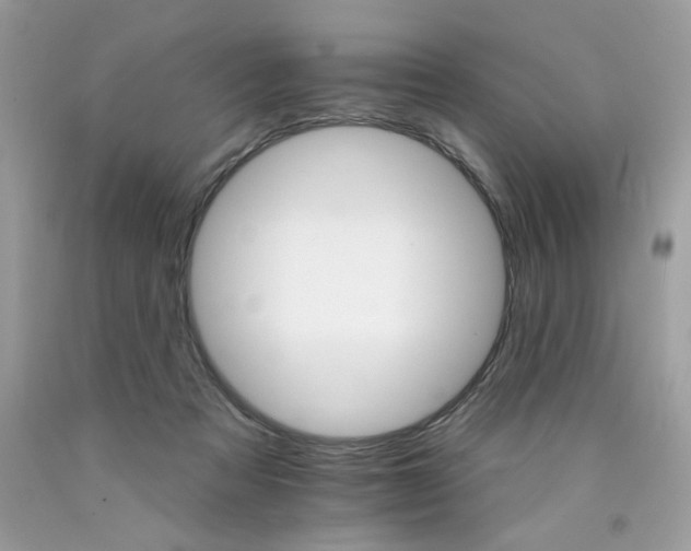 X0000089940313200707201909