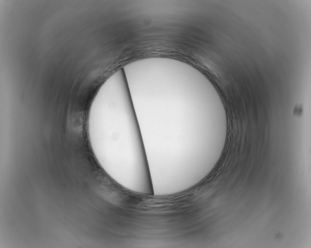 X0000089940315200707201909