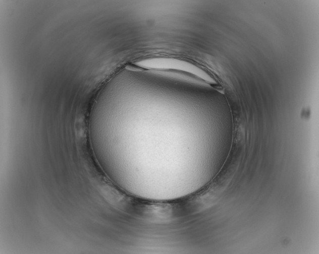X0000089940317200707201909