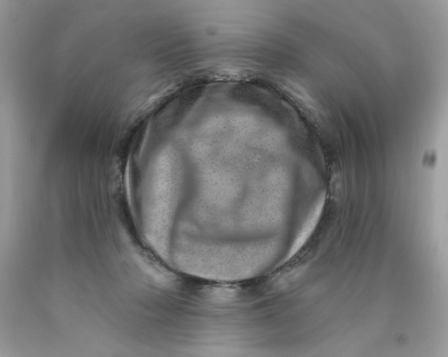 X0000089940318200707201909
